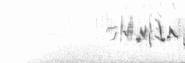 Трав’янка білошия - ML175305291
