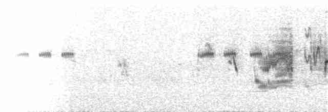 Tel Kuyruklu Kırlangıç - ML175308651