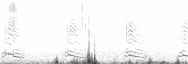 Kaio iluna (graellsii) - ML175310451