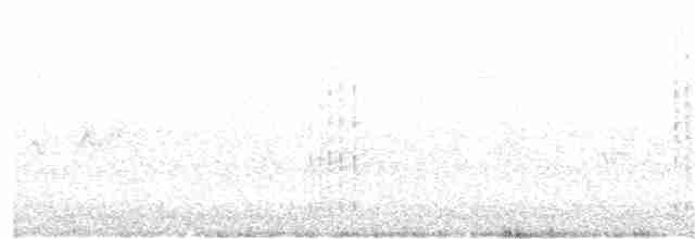 Chaparralgrasmücke - ML175323451