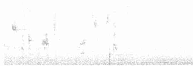 Singammer [heermanni-Gruppe] - ML175324331