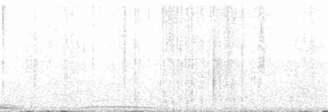 holub modroocasý - ML175408381