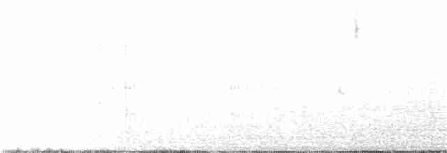 Ластівка міська (підвид urbicum/meridionale) - ML175415781