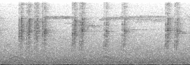 Spot-necked Babbler - ML175474