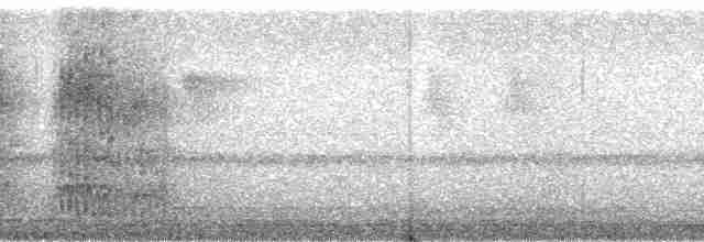 Суматранский трогон - ML175499