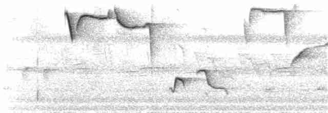 Чешуйчатогрудый пересмешник - ML175531461