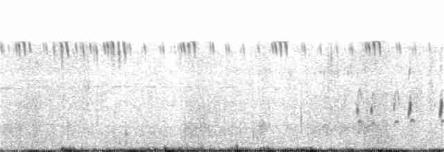 Синехвостая щурка - ML175562471