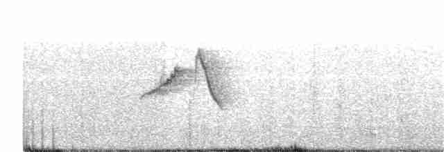 Длинноклювая нектарница - ML175562561