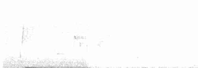 White-eyed Vireo - ML175589381