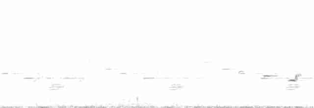 Psophode carillonneur - ML175595061