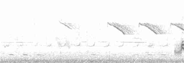 Шиподзьоб рудогузий - ML175599771