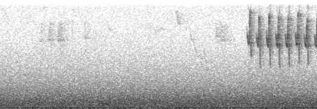 Пеcтрогорлая фульветта - ML175606