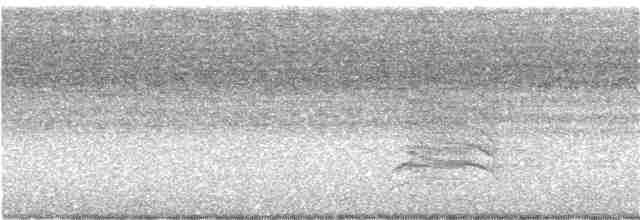Gray Catbird - ML175613751