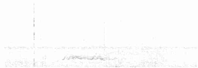 Carolinanachtschwalbe - ML175619131