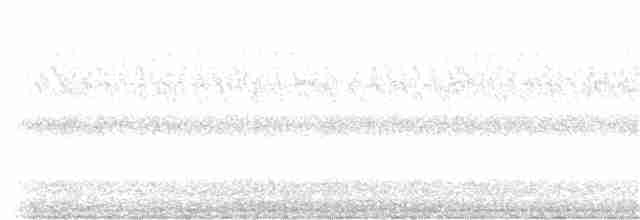 Краснохвостый канюк (borealis) - ML175635401