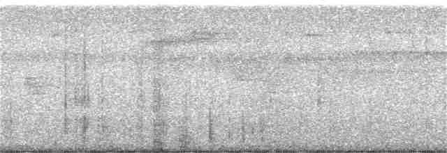 Сова-голконіг темнопера - ML175724821