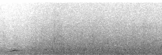 Малая кукушковая горлица - ML175728