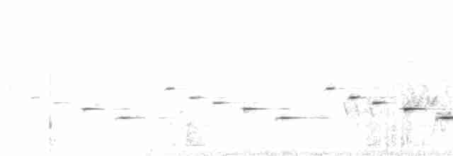 Psophode carillonneur - ML175742201