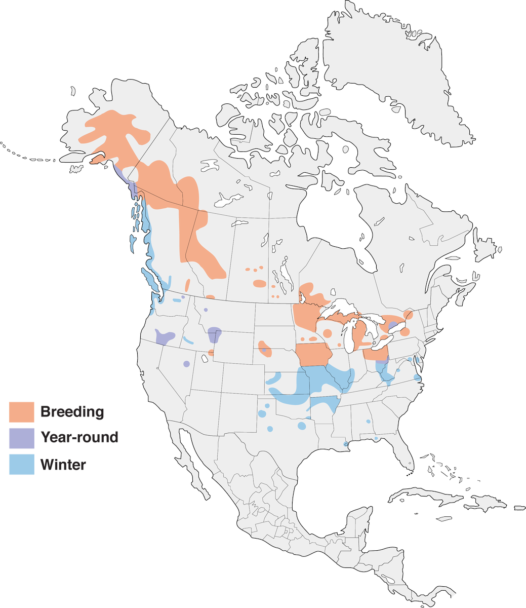 Trumpeter Swan Range Map