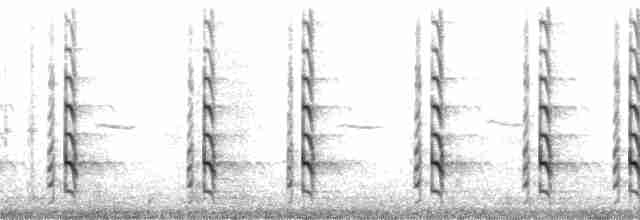 Black-necked Stilt (Black-necked) - ML175796