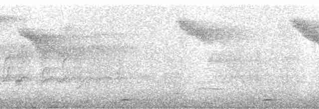Синиця плямиста - ML175813