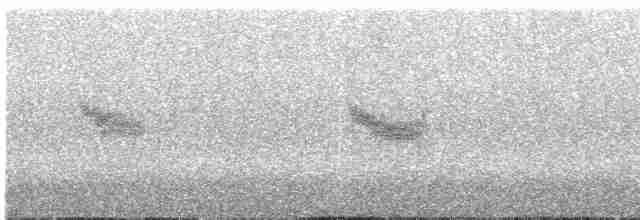 Пятнистая вилохвостка - ML175829621