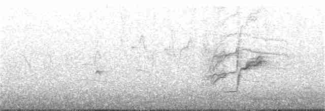 Spot-winged Rosefinch - ML175834351