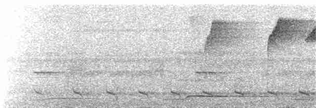 Прямоклювый колибри-отшельник - ML175916701