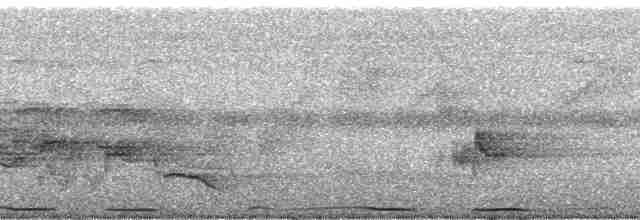 holub černošíjný - ML175932