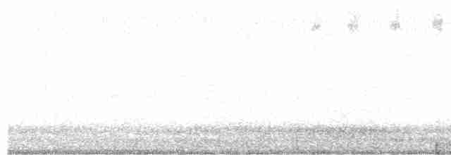 裏海燕鷗 - ML175936301