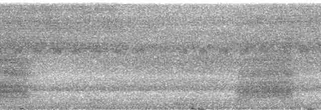 Белошейный лемба - ML175937