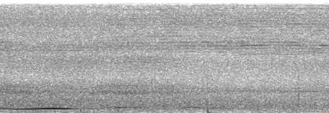 holub černošíjný - ML175942
