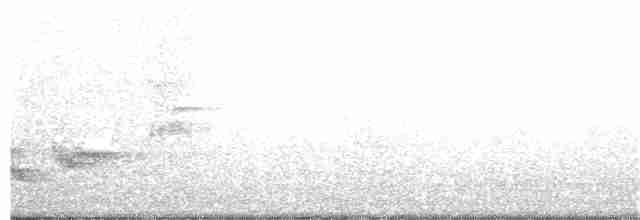 Habeş Ardıcı - ML175951211