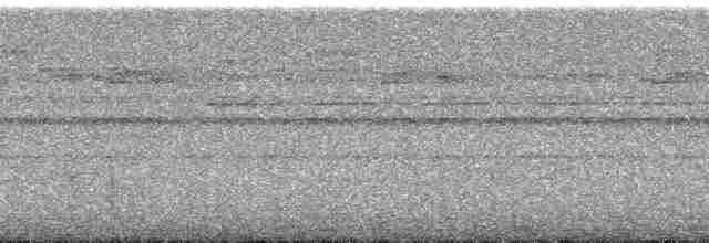 Great Eared-Nightjar - ML175956
