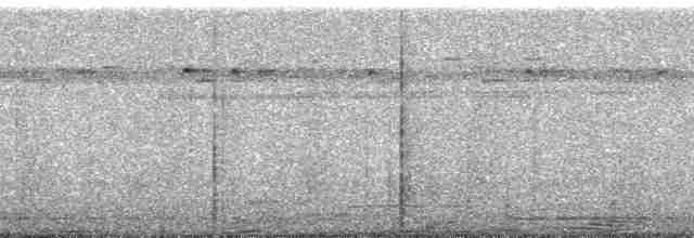 Great Eared-Nightjar - ML175959