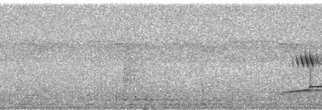 Синеголовый зимородок - ML175960