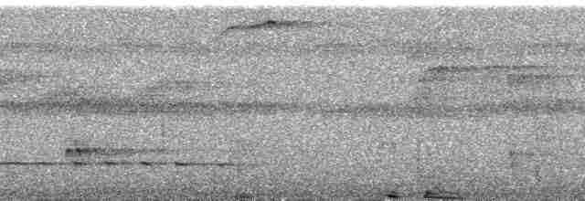 Синеголовый зимородок - ML175969