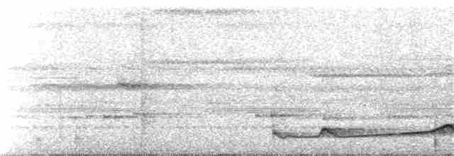 Silky-tailed Nightjar - ML175972701