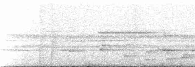 Bändernachtschwalbe - ML175977911