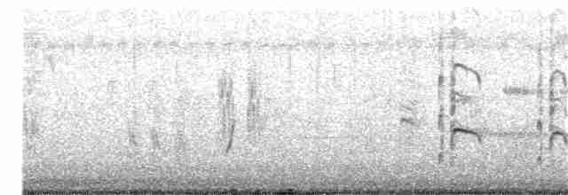 斑文鳥(nisoria群) - ML175987131