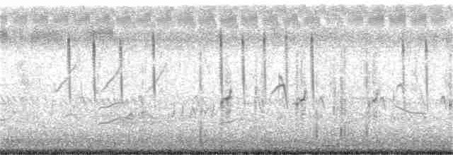 斑文鳥(nisoria群) - ML175987151