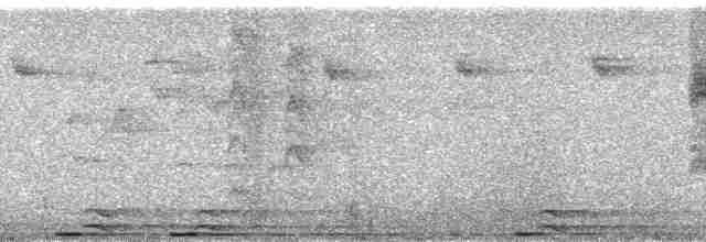 Mosquitero de la Sonda - ML175992