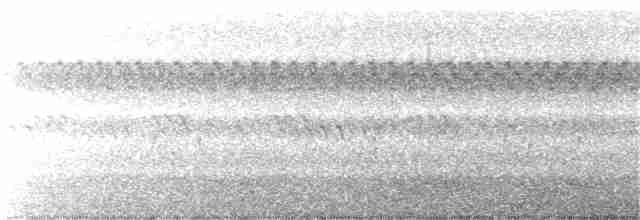 Whimbrel (Hudsonian) - ML175998301