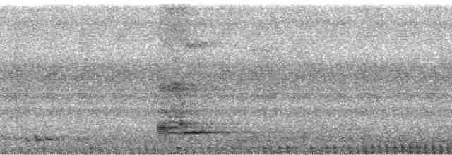 Суматранская китта - ML176024
