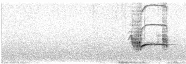 Loggerhead Shrike - ML176048531