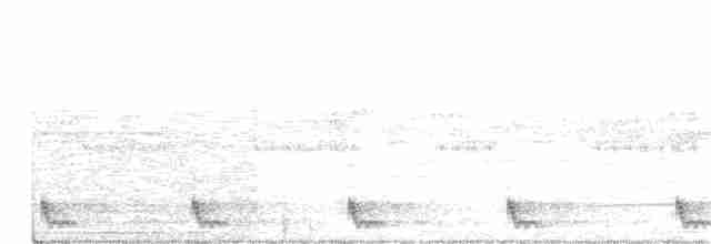 Large-tailed Nightjar - ML176121741