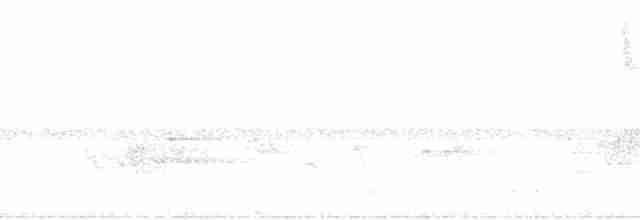 Reinita Protonotaria - ML176222