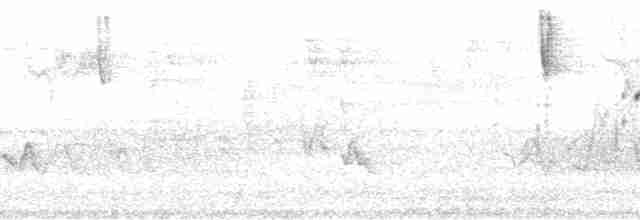 Paruline orangée - ML176224