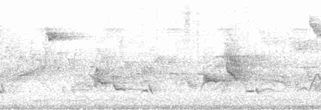 nordtaggsvale (serripennis gr.) - ML176233