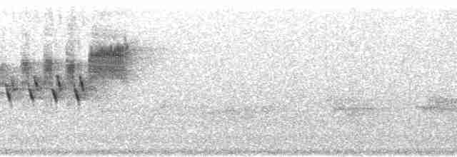 Cerulean Warbler - ML176277